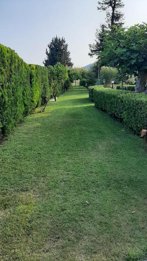 Casale Battaglini Bed & Breakfast Castelnuovo Cilento Bagian luar foto