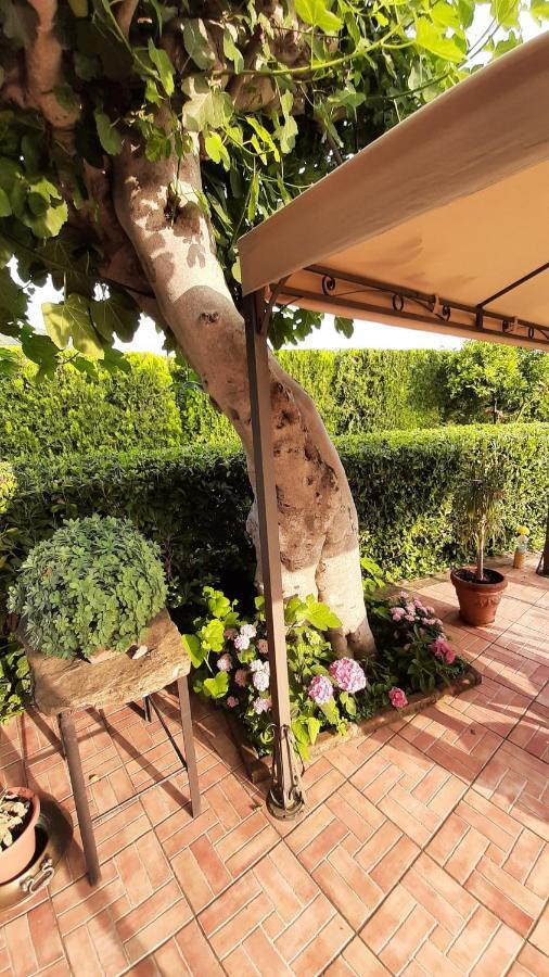 Casale Battaglini Bed & Breakfast Castelnuovo Cilento Bagian luar foto