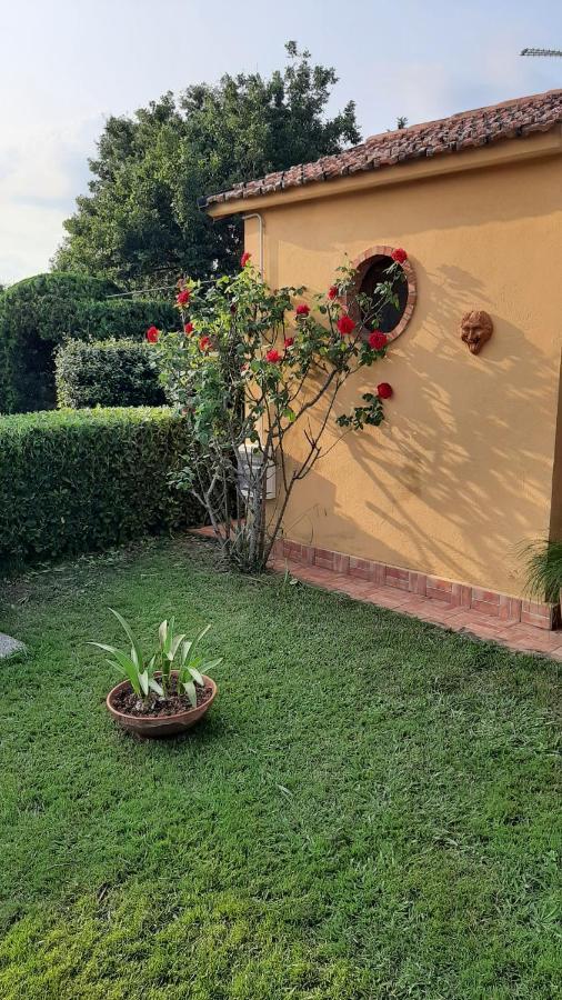 Casale Battaglini Bed & Breakfast Castelnuovo Cilento Bagian luar foto